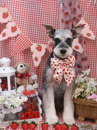 20260307銀次くん