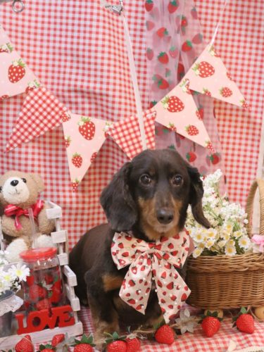 20260307ミロくん