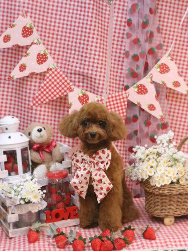 20260307モアちゃん