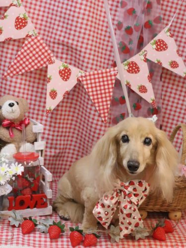 20260307ロイくん