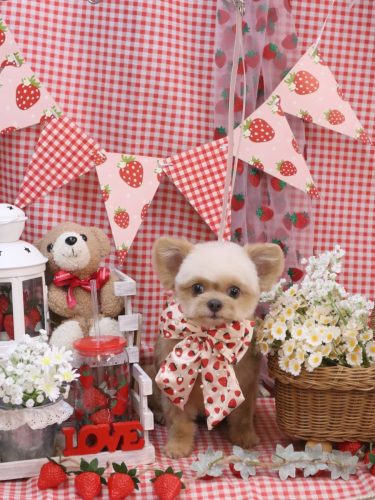 20260307なうちゃん