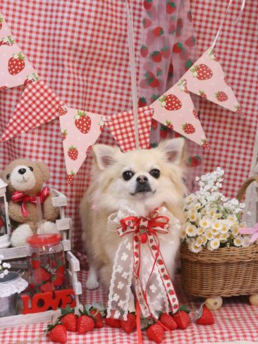 20260307とわくん