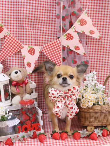 20260307れおくん