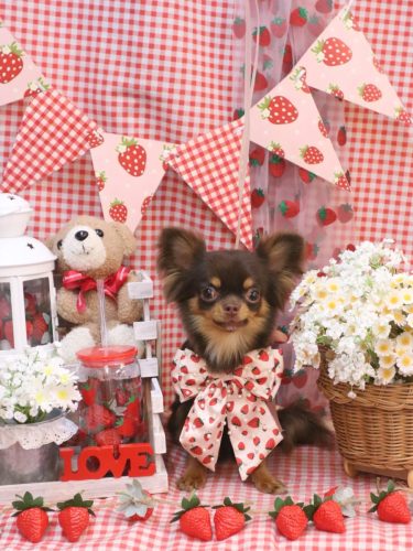 20260308りくくん