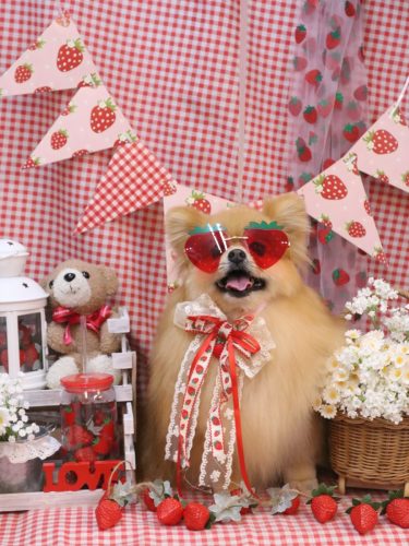 20260308梛都ちゃん