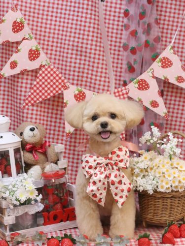 20260308むぎちゃん