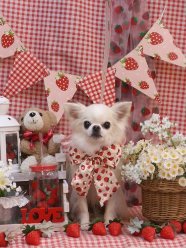 20260308りゅうくん