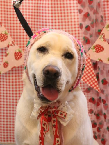 20260310糸ちゃん