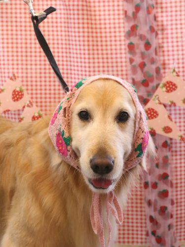 20260310アネラちゃん