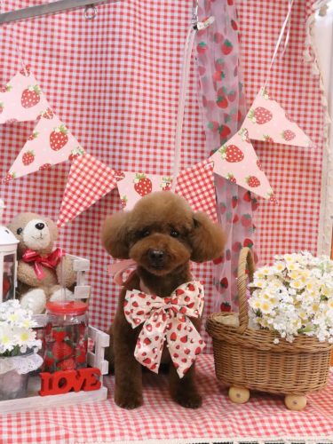 20260310そらくん