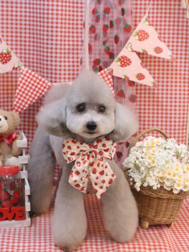 20260310宇宙くん