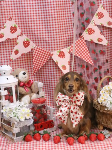 20260310モカちゃん