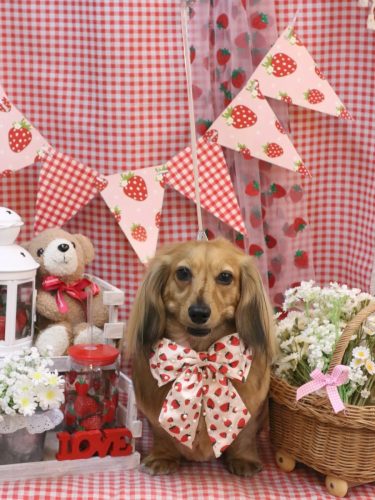 20260310ラテくん