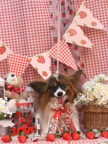 20260311ラナちゃん