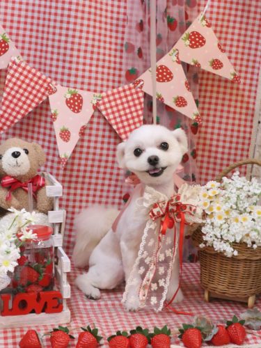 20260311レイくん