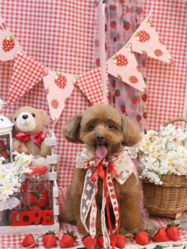 20260311永遠ちゃん