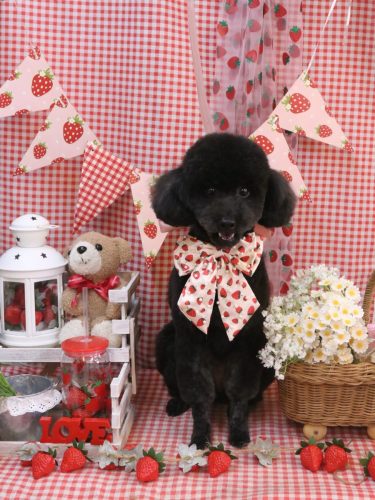 20260312もずくちゃん