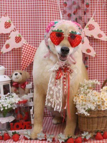 20260312れんくん