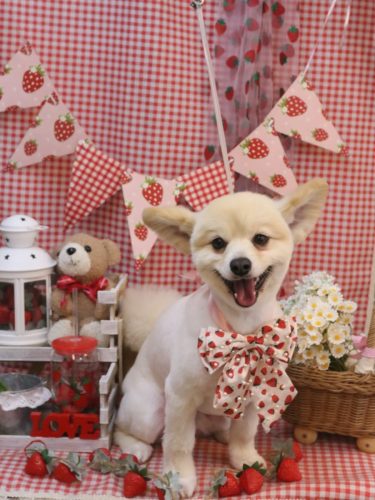 20260312ぽんずくん