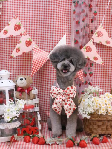 20260312るいくん