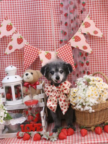 20260312ヒナちゃん