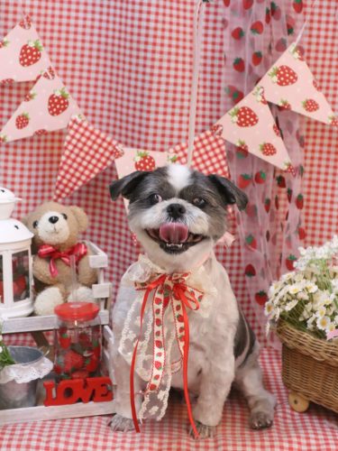 20260313大吉くん