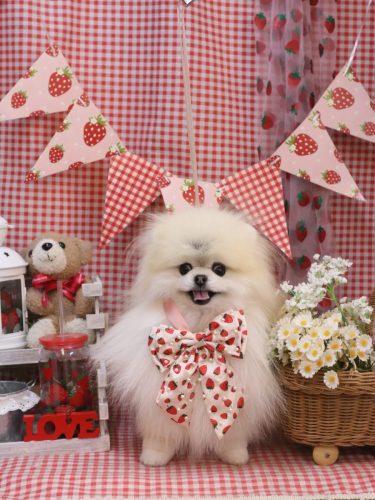 20260314さらりちゃん