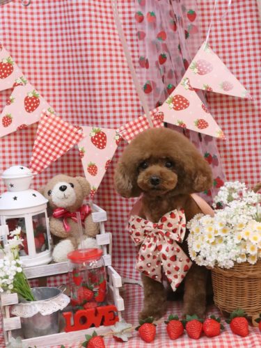 20260314アリームちゃん