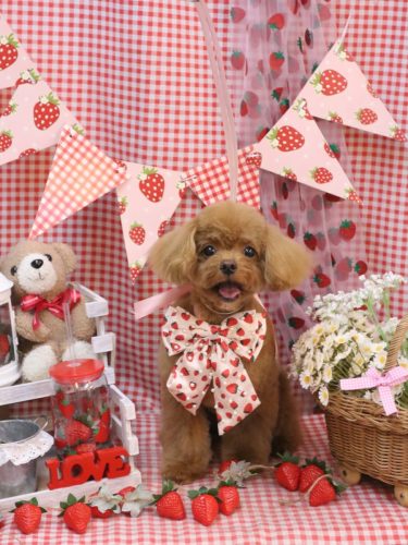 20260314れあくん