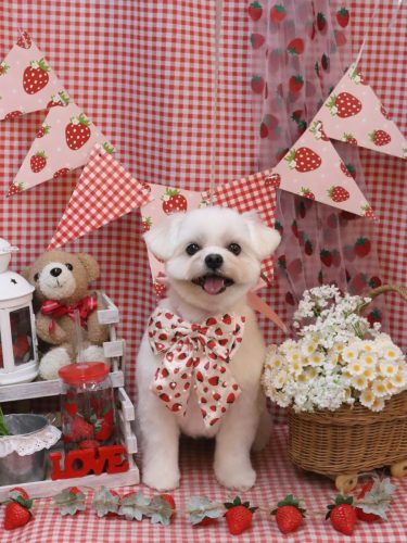 20260314うるちゃん