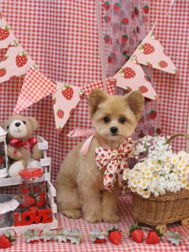 20260314キコちゃん