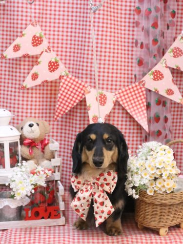 20260314おうたくん