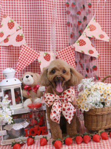 20260315このはちゃん