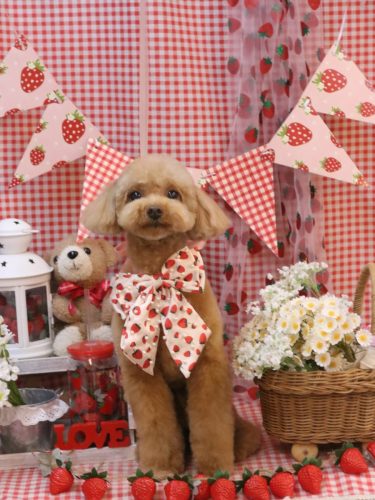 20260315ララちゃん