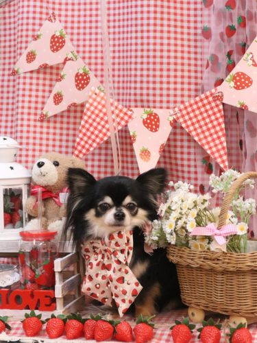 20260315アリューくん