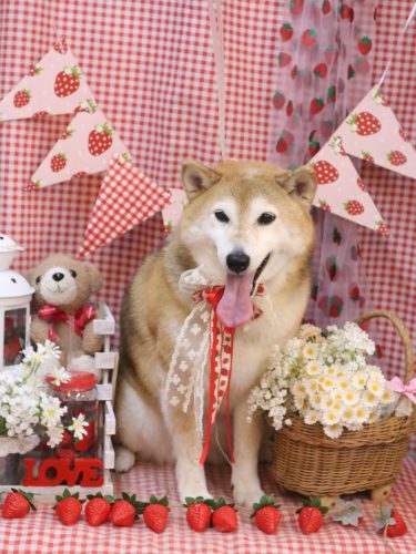 20260315こはるちゃん