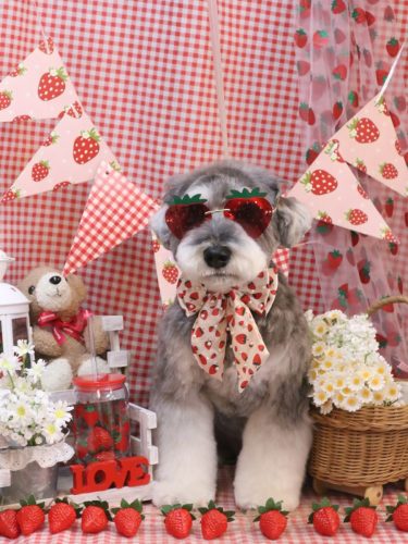 20260317ビッケくん