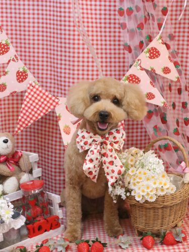 20260317なつくん