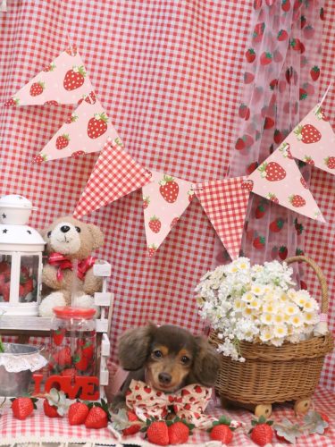 20260317ココちゃん