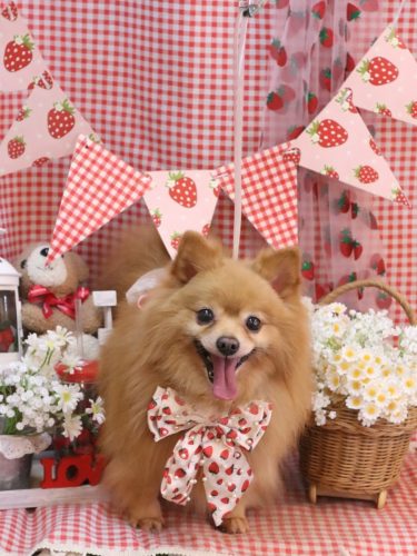 20260317リーくん