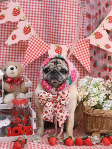 20260317くりこちゃん