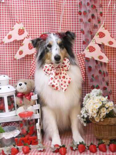 20260318ミルキーちゃん