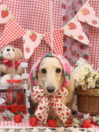 20260318シオンくん