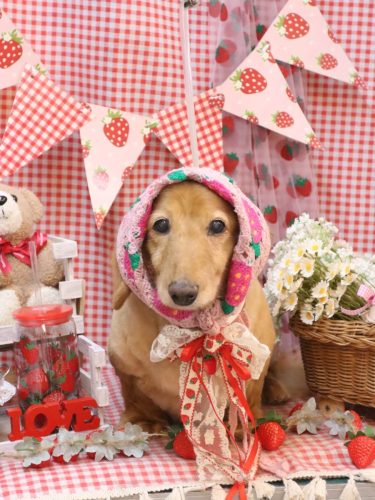 20260318レオンくん