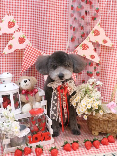 20260319レオくん