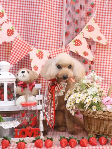 20260319うたちゃん