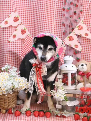 20260319ひめちゃん