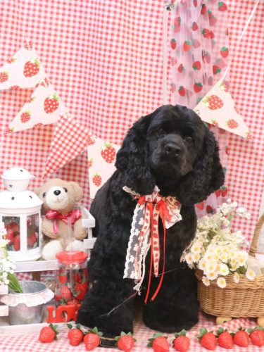 20260319天ちゃん