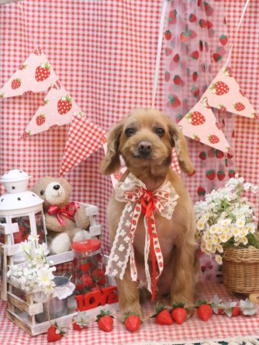 20260319紋之助くん