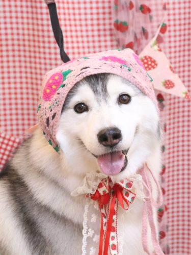 20260320ひかりちゃん